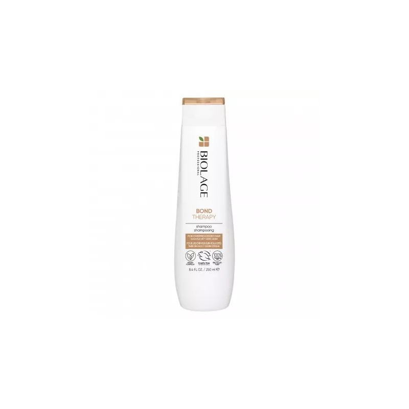 Kemon Home care zestaw 250+200ml
